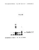 METHODS OF INHIBITING AMYLOID TOXICITY diagram and image