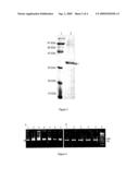  VACCINE FOR STAPHYLOCOCCAL INFECTIONS diagram and image