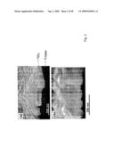 COMPOSITIONS COMPRISING NANOSTRUCTURES FOR CELL, TISSUE AND ARTIFICIAL ORGAN GROWTH, AND METHODS FOR MAKING AND USING SAME diagram and image