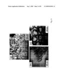 COMPOSITIONS COMPRISING NANOSTRUCTURES FOR CELL, TISSUE AND ARTIFICIAL ORGAN GROWTH, AND METHODS FOR MAKING AND USING SAME diagram and image