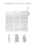 COMPOSITIONS COMPRISING NANOSTRUCTURES FOR CELL, TISSUE AND ARTIFICIAL ORGAN GROWTH, AND METHODS FOR MAKING AND USING SAME diagram and image