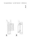 COMPOSITIONS COMPRISING NANOSTRUCTURES FOR CELL, TISSUE AND ARTIFICIAL ORGAN GROWTH, AND METHODS FOR MAKING AND USING SAME diagram and image