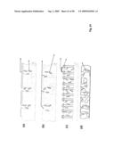 COMPOSITIONS COMPRISING NANOSTRUCTURES FOR CELL, TISSUE AND ARTIFICIAL ORGAN GROWTH, AND METHODS FOR MAKING AND USING SAME diagram and image