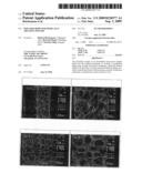 Moulded body for medically treating wounds diagram and image