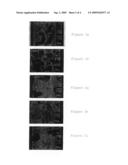 Moulded body for medically treating wounds diagram and image