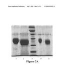 COMBINATION OF ERYTHROPOIETIN GLYCOISOFORMS diagram and image