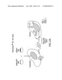 Methods for determing resistance or susceptibility to hi entry inhibitors diagram and image