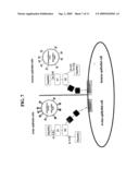 COMPOSITIONS FOR- DETECTING OF INFLUENZA VIRUSES AND KITS AND METHODS USING SAME diagram and image