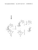 COMPOSITIONS FOR- DETECTING OF INFLUENZA VIRUSES AND KITS AND METHODS USING SAME diagram and image