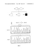Systemic Carnitine Deficiency Gene and Uses Thereof diagram and image