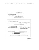 Identifying and quantifying small RNAs diagram and image