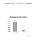 Identifying and quantifying small RNAs diagram and image