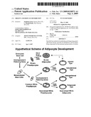 OBESITY AND BODY FAT DISTRIBUTION diagram and image