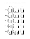 OBESITY AND BODY FAT DISTRIBUTION diagram and image