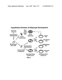 OBESITY AND BODY FAT DISTRIBUTION diagram and image