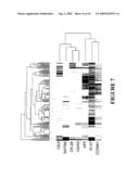 USE OF PROTEIN SATB2 AS A MARKER FOR COLORECTAL CANCER diagram and image