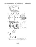 Stimulating G Protein-Coupled Receptors diagram and image