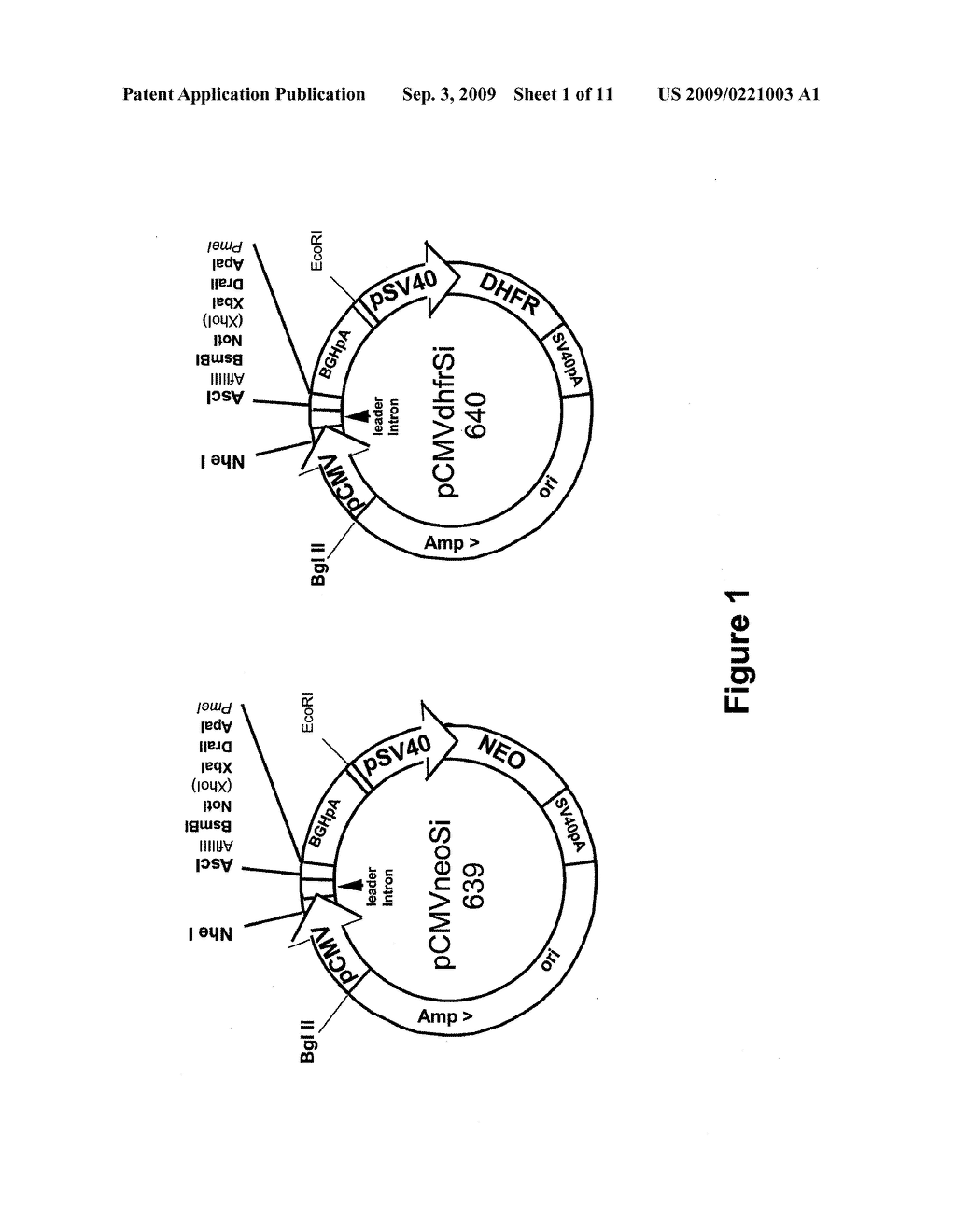 PROCEDURE FOR THE GENERATION OF A HIGH PRODUCER CELL LINE FOR THE EXPRESSION OF A RECOMBINANT ANTI-CD34 ANTIBODY - diagram, schematic, and image 02