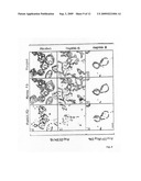 Caspase-cleavage anti-keratin antibodies for detection of apoptosis diagram and image