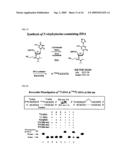 Method for Detecting Target Nucleic Acid with Specific Base Sequence and Set of Nucleic Acids for Detection diagram and image