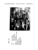 COMBINATORIAL ARTIFICIAL RECEPTORS INCLUDING TETHER BUILDING BLOCKS diagram and image