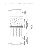 Nanofabrication processes and devices for the controlled assembly of functionalized nanostructures diagram and image