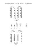 Nanofabrication processes and devices for the controlled assembly of functionalized nanostructures diagram and image