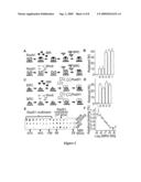 Compositions and Methods for Disruption of BRCA2-Rad51 Interaction diagram and image