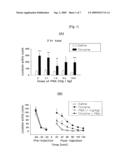 Pharmaceutical Composition for Prevention and Treatment of Drug or Alcohol Addiction or Bipolar Disorder Using Sodium Phenylbutyrate diagram and image