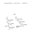 PROCESS FOR PREPARING A PENTOPYRANOSYL NUCLEIC ACID CONJUGATE diagram and image