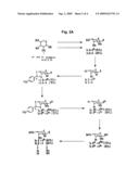 PROCESS FOR PREPARING A PENTOPYRANOSYL NUCLEIC ACID CONJUGATE diagram and image