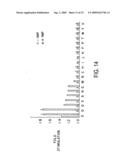 Heteromeric taste receptors diagram and image