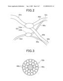 BIOLOGICAL OBSERVATION APPARATUS AND METHOD diagram and image