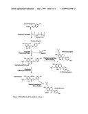 DNA SEQUENCES INVOLVED IN PRENYLFLAVONOID BIOSYNTHESIS IN HOPS AND THEIR USE IN MODIFYING PRENYLFLAVONOID PRODUCTION IN PLANTS diagram and image