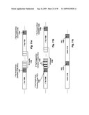 Video Compression System and Method for Compensating for Bandwidth Limitations of a Communication Channel diagram and image