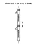 Video Compression System and Method for Compensating for Bandwidth Limitations of a Communication Channel diagram and image