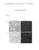 Method to Inhibit the Propagation of an Undesired Cell Population diagram and image