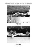 FUEL CELL DEVICE AND SYSTEM diagram and image