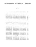 Adeno-associated virus (AAV) serotype 8 sequences, vectors containing same, and uses therefor diagram and image