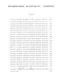 Adeno-associated virus (AAV) serotype 8 sequences, vectors containing same, and uses therefor diagram and image