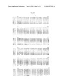 Adeno-associated virus (AAV) serotype 8 sequences, vectors containing same, and uses therefor diagram and image