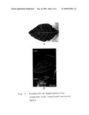 DISEASE-RESISTANT PLANTS AND METHOD OF CONSTRUCTING THE SAME diagram and image