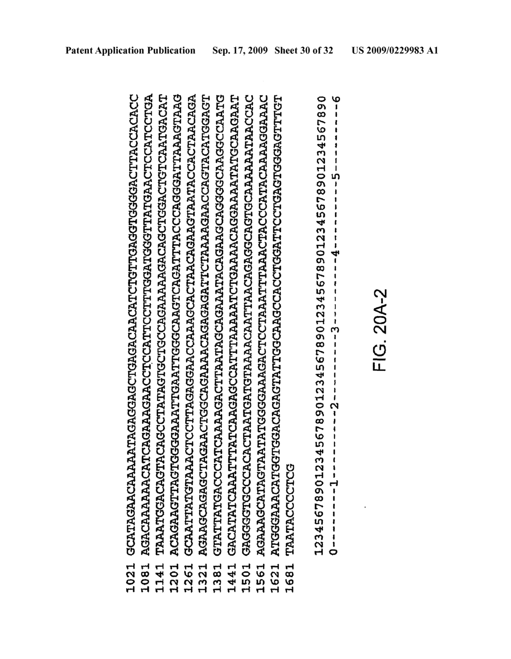 Ruggedized apparatus for analysis of nucleic acid and proteins - diagram, schematic, and image 31