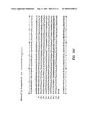 Ruggedized apparatus for analysis of nucleic acid and proteins diagram and image