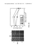 ELECTRONIC DEVICE CONTACT STRUCTURES diagram and image