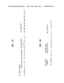 CELL SEARCH METHOD, FORWARD LINK FRAME TRANSMISSION METHOD, APPARATUS USING THE SAME AND FORWARD LINK FRAME STRUCTURE diagram and image