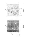 METHOD OF, AND APPARATUS AND COMPUTER SOFTWARE FOR, IMAGING BIOLOGICAL OBJECTS diagram and image