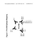 PRO108 Antibody Compositions and Methods of Use and Use of PRO108 to Assess Cancer Risk diagram and image