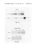 Compounds and methods for increasing neurogenesis diagram and image