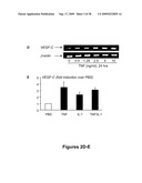 METHODS AND COMPOSITIONS FOR TREATING INFLAMMATORY CONDITIONS diagram and image